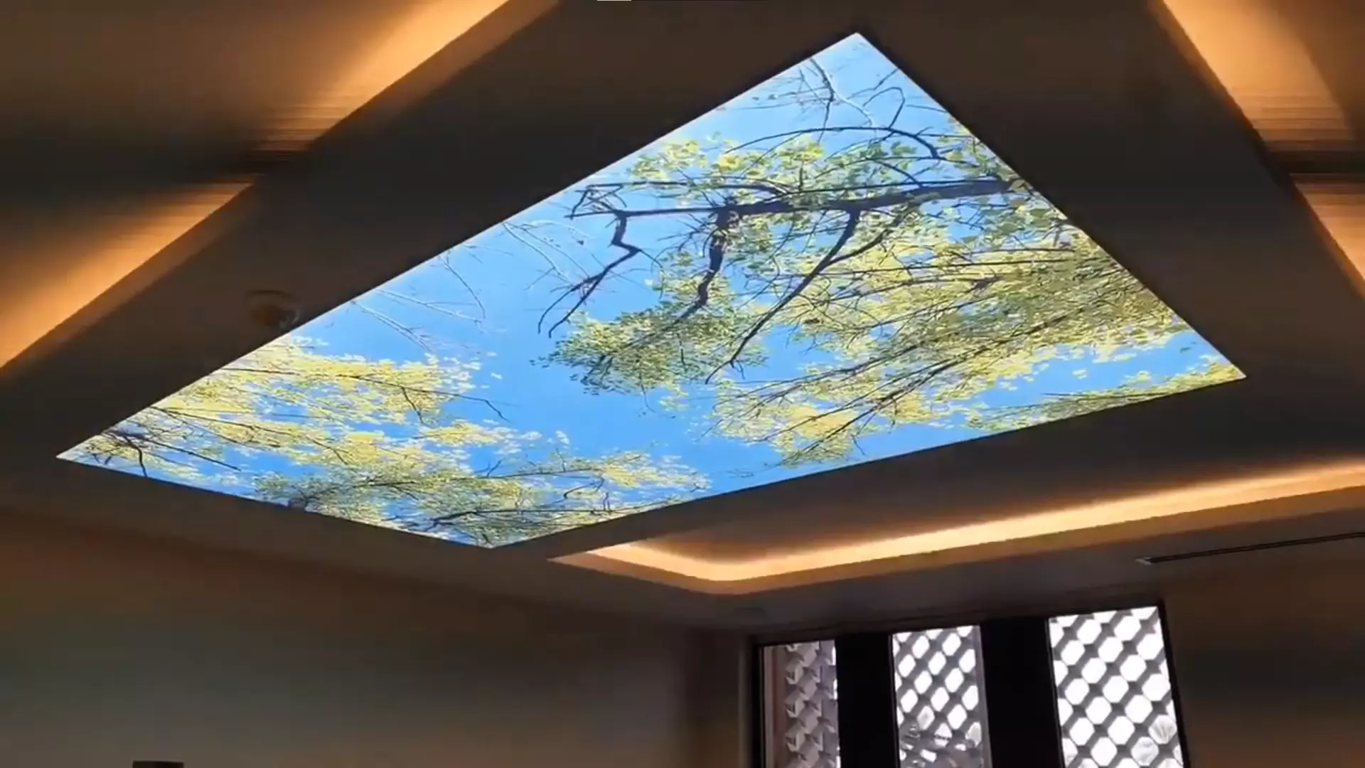 Красноярск, проспект 60 лет образования СССР, 56, фото 1