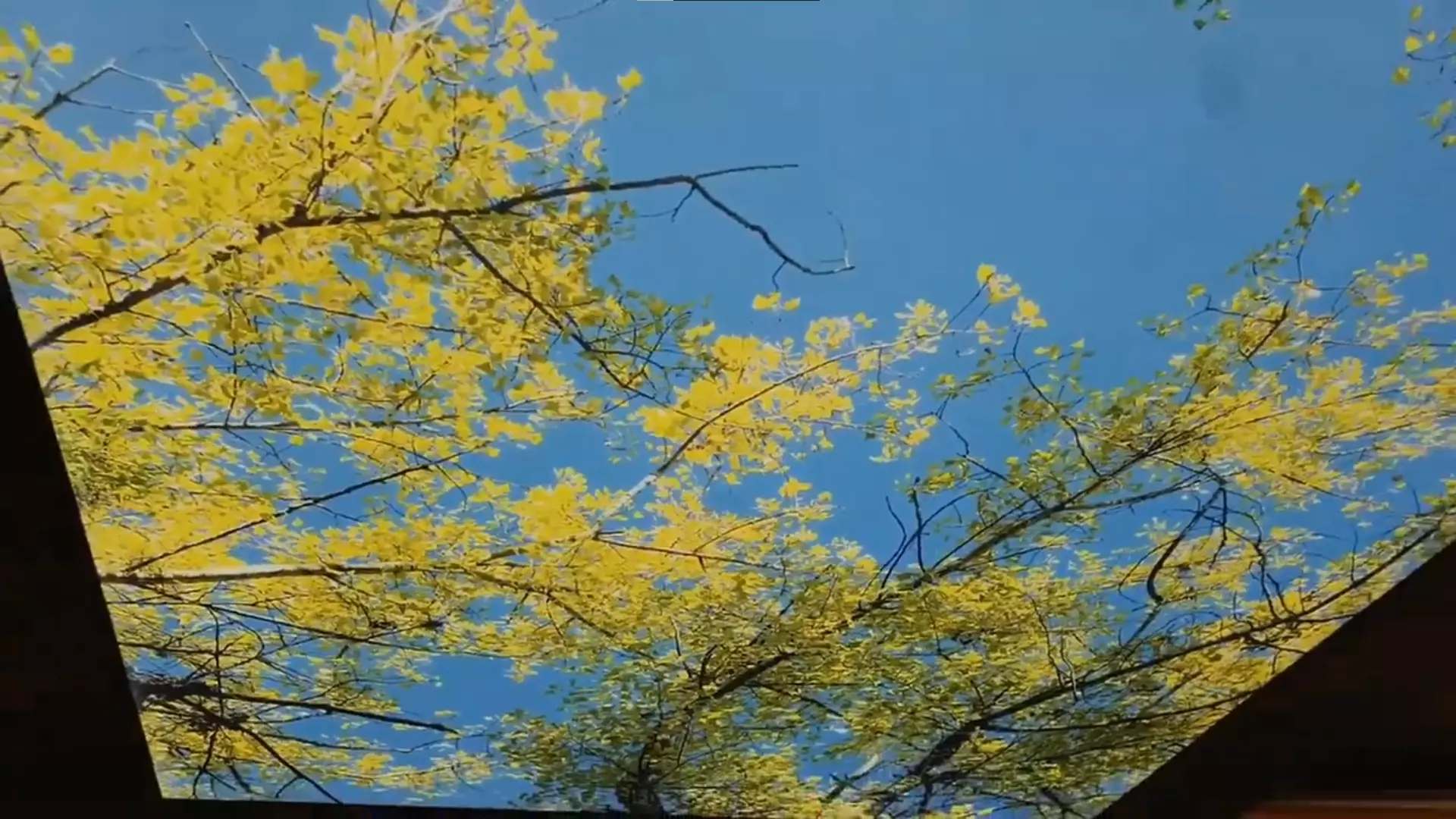 Красноярск, проспект 60 лет образования СССР, 56, фото 2