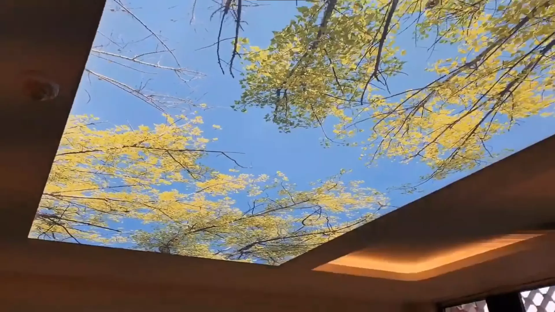 Красноярск, проспект 60 лет образования СССР, 56, фото 3